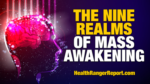 Image: The NINE REALMS of mass awakening