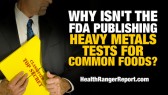 Why-FDA-Heavy-Metals-Tests-Common-Foods-480