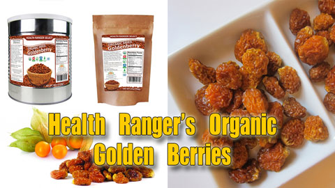 Image: Organic Goldenberries from the Health Ranger (Audio)
