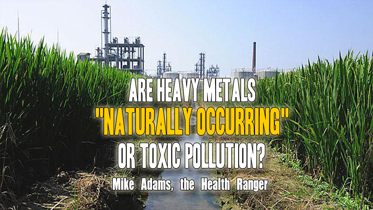 Image: Are heavy metals “naturally occurring” or toxic pollution? (Video)
