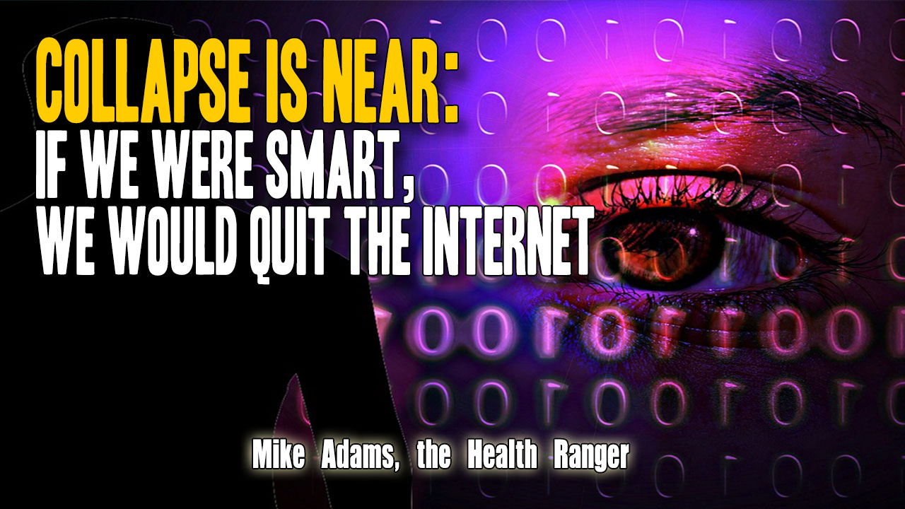 Image: COLLAPSE is near: If we were smart, we would give up the internet (Audio)