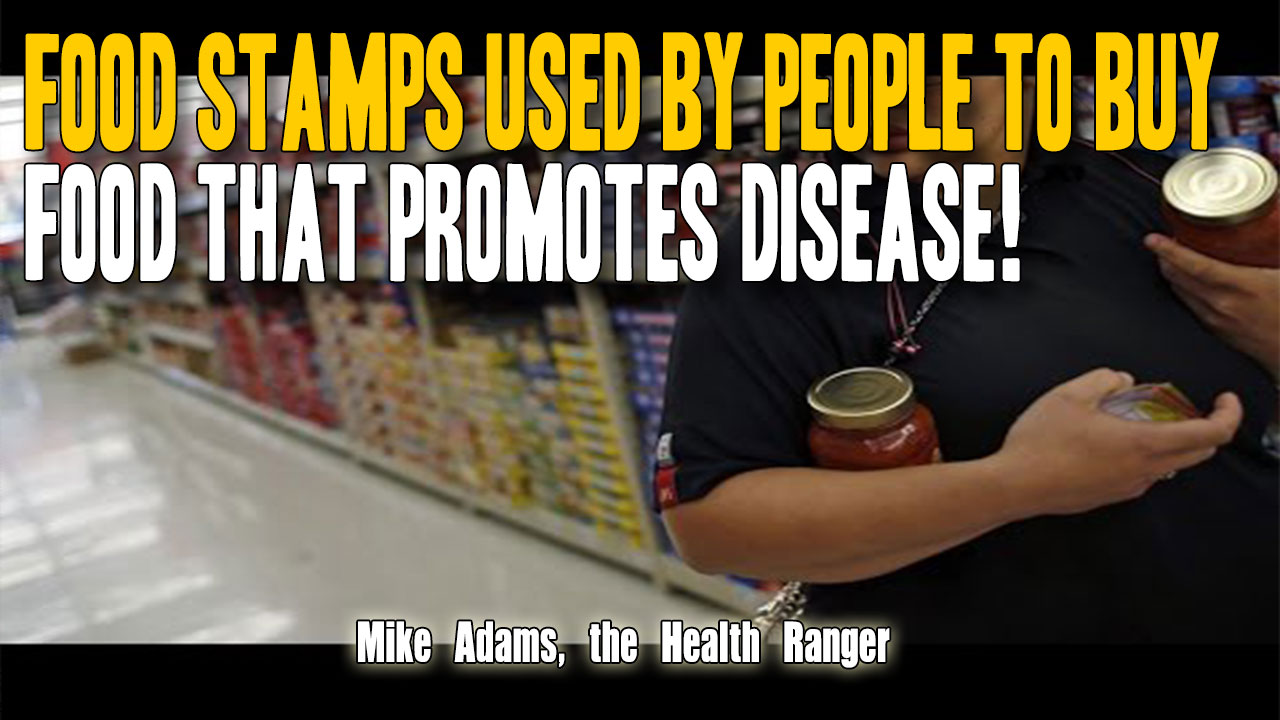 Image: Food stamps are being used to buy junk food that promotes disease! (Audio)