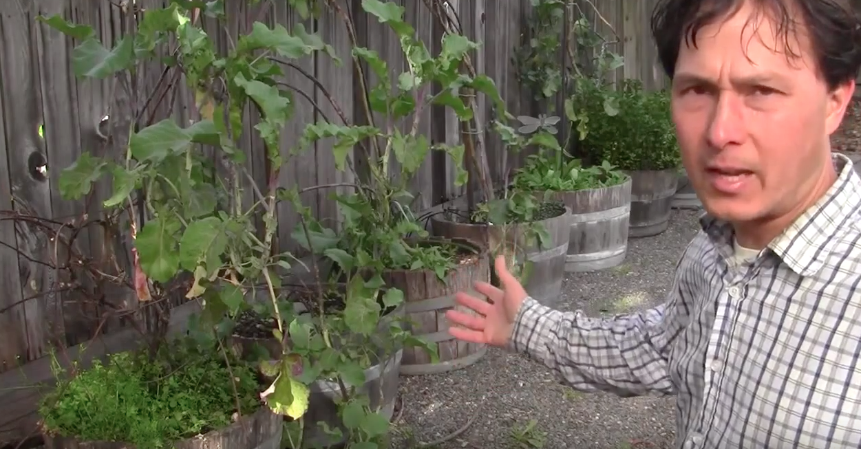 Image: Doctors Grow and Eat Plants for the Most Health Benefits (Video)