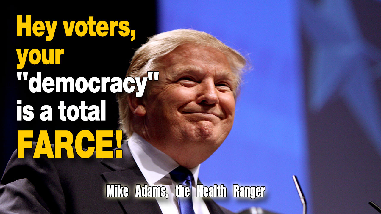Image: Hey voters, your “democracy” is a total farce! (Audio)