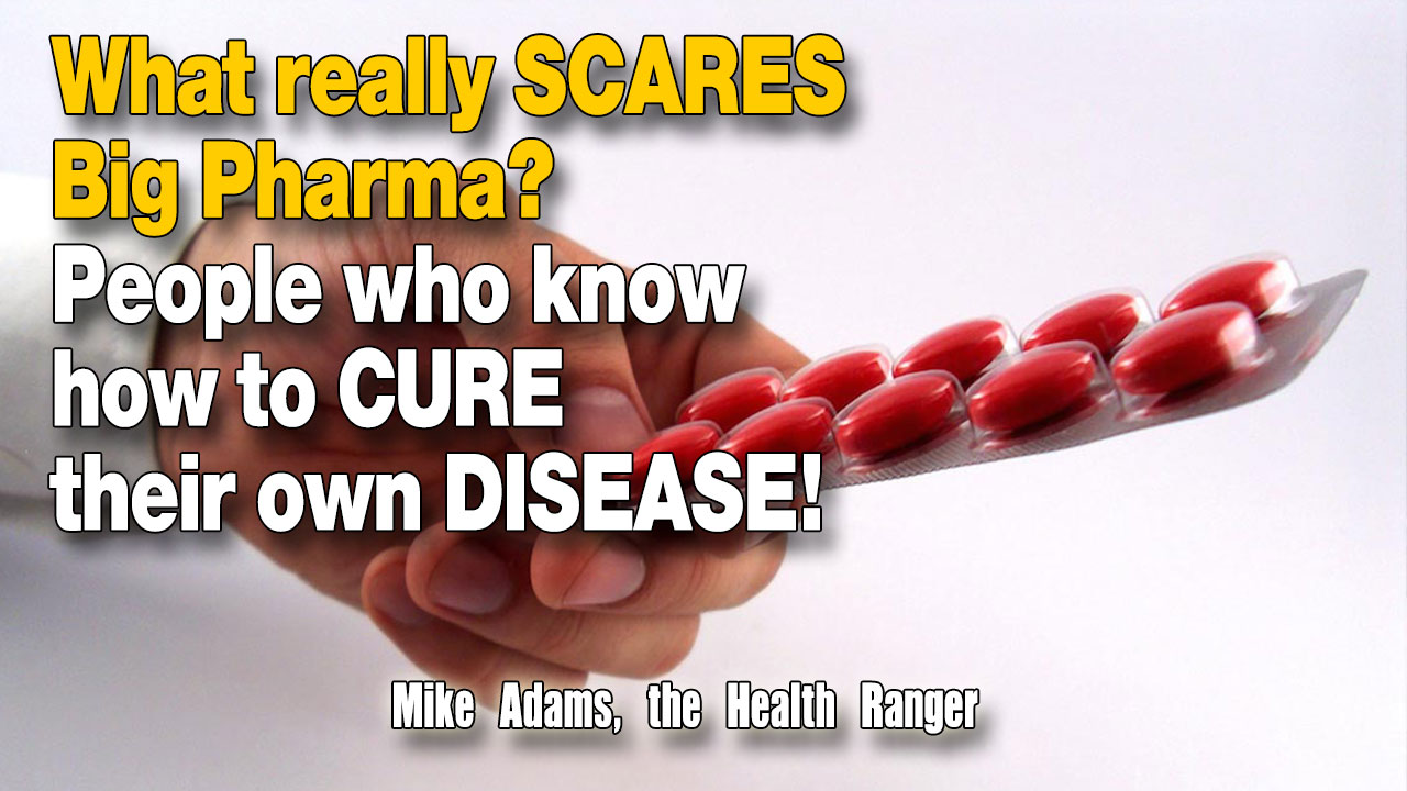 Image: What really SCARES Big Pharma? People who know how to CURE their own DISEASE! (Audio)