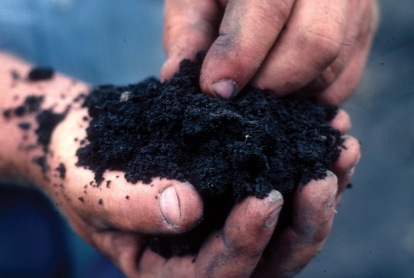 Image: Building soil health for healthy plants – by soil scientist Dr. Elaine Ingham