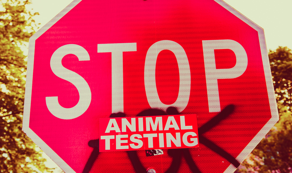 Image: Big Pharma wastes BILLIONS of taxpayer dollars each year on failed drug tests on ANIMALS (Audio)