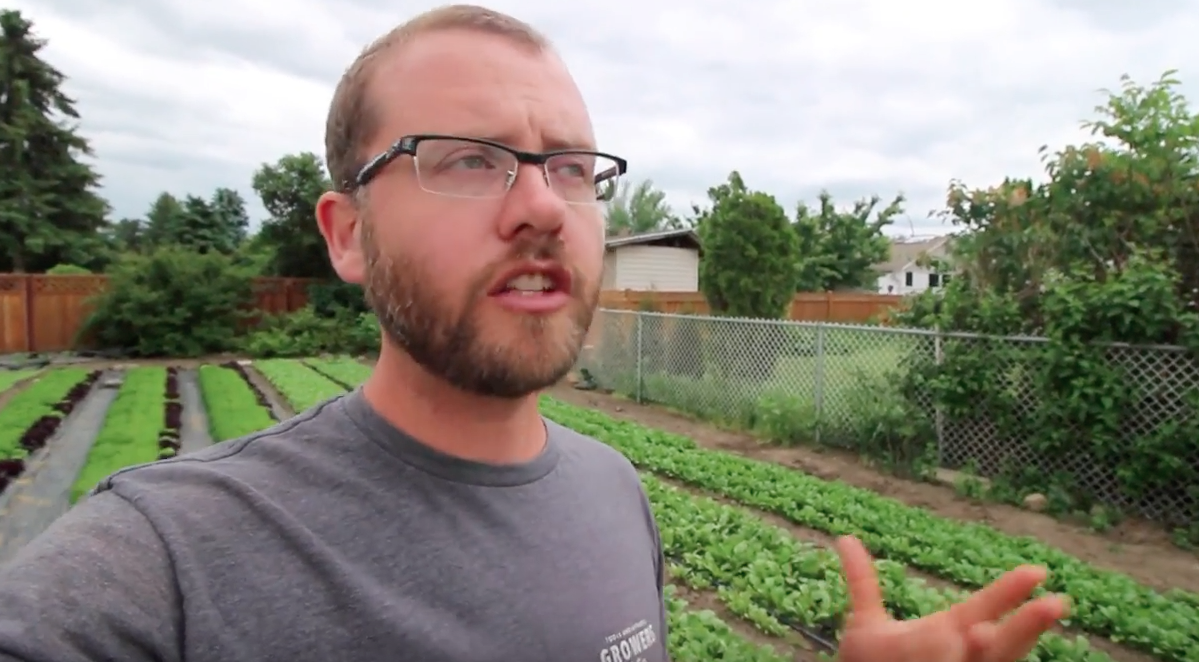 Image: Tour around a passive solar greenhouse (Video)