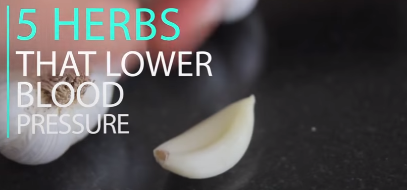 Image: Five Herbs That Lower Blood Pressure (Video)