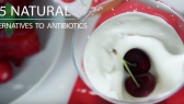 5 natural alternatives to antibiotics