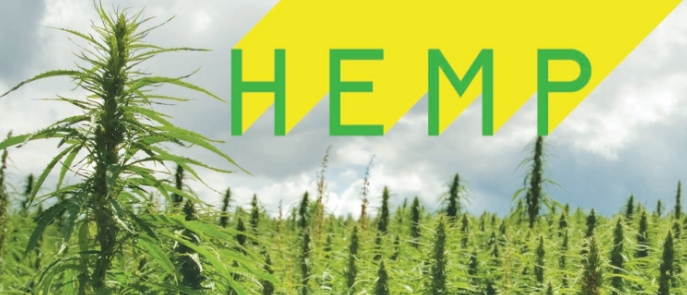 Image: The Benefits of Hemp and CBD (Video)