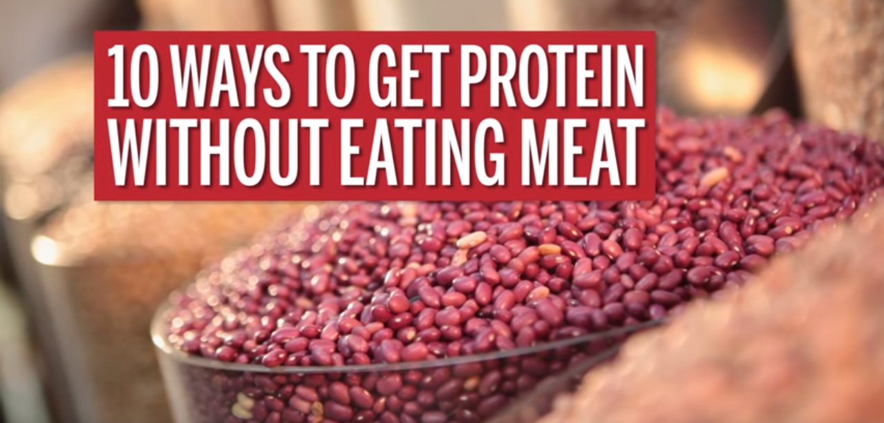 Image: 10 Ways to Get Protein Without Eating Meat (Video)