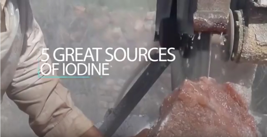 Image: 5 Great Sources of Iodine (Video)