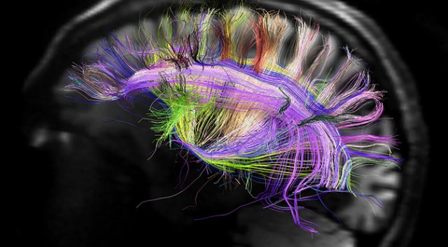 Image: Controlling the brain so memories, emotions and thoughts can be manipulated (Video)