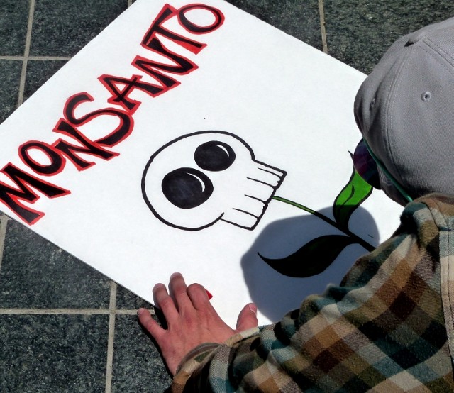 Image: Monsanto – Seeds of Death (Video)