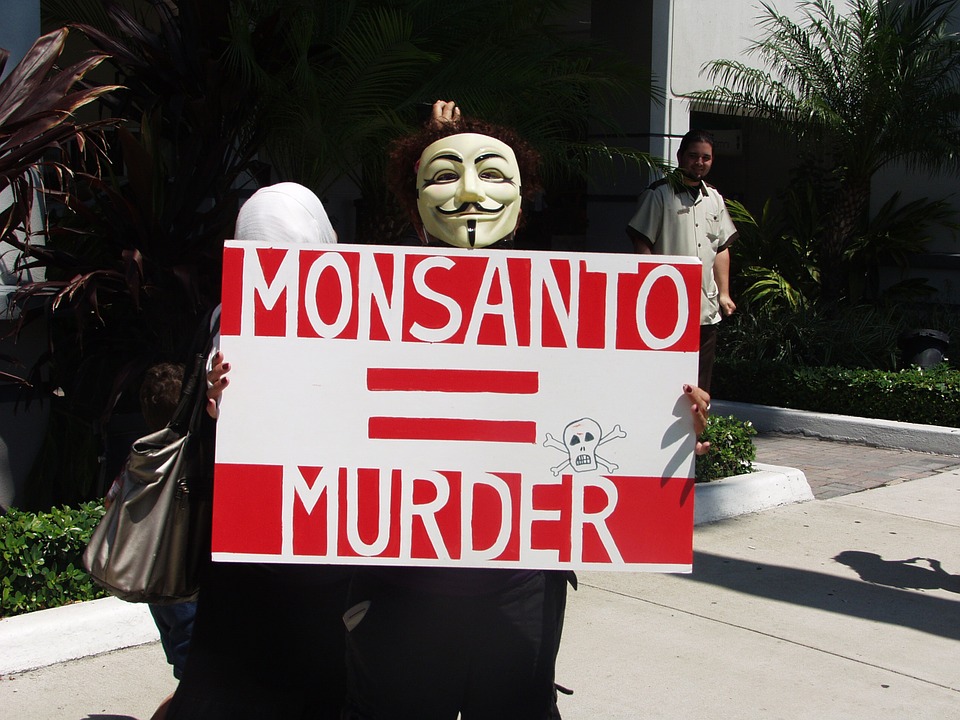 Image: A Global Food Fight & Monsanto’s Day in Court (Video)