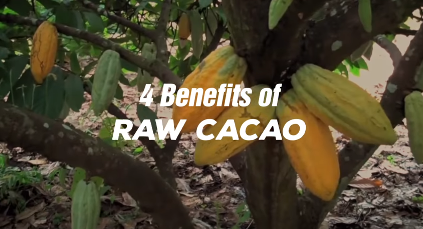 Image: 4 Benefits of Raw Cacao  (Video)