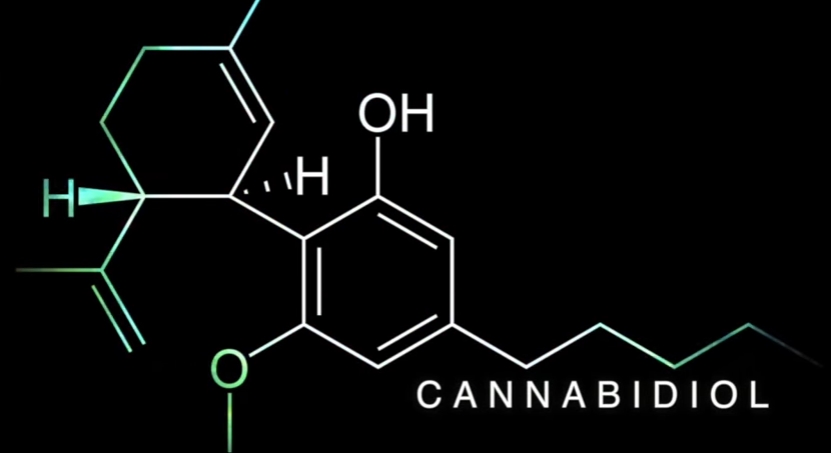 Image: Science Explains How Cannabis Kills Cancer Cells (Video)