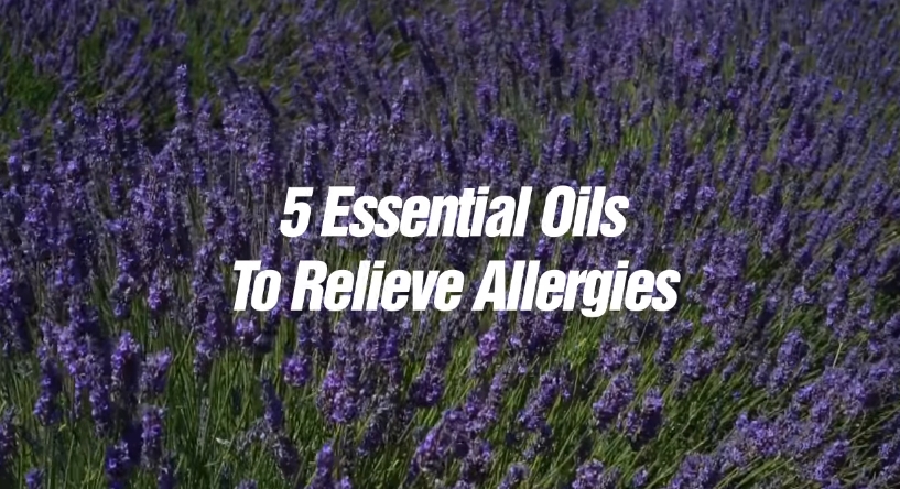 Image: 5 Essential Oils To Relieve Allergies (Video)