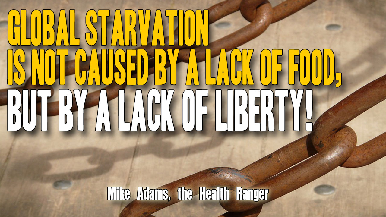 Image: Global starvation is not caused by a lack of food, but by a lack of LIBERTY! (Audio)
