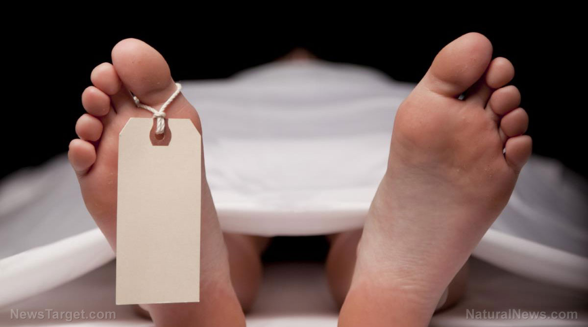 Image: Is Death Like Being in a Deep Sleep? (Video)