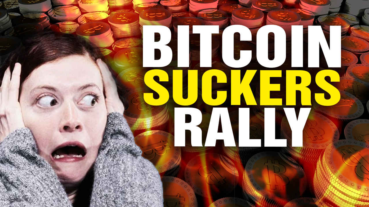 Image: Bitcoin SUCKERS RALLY Now Under Way (Video)
