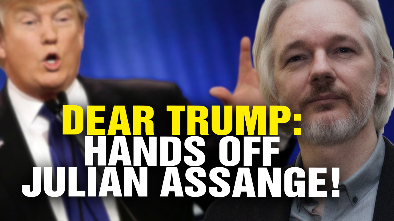 Image: President Trump: HANDS off Julian Assange! (Video)