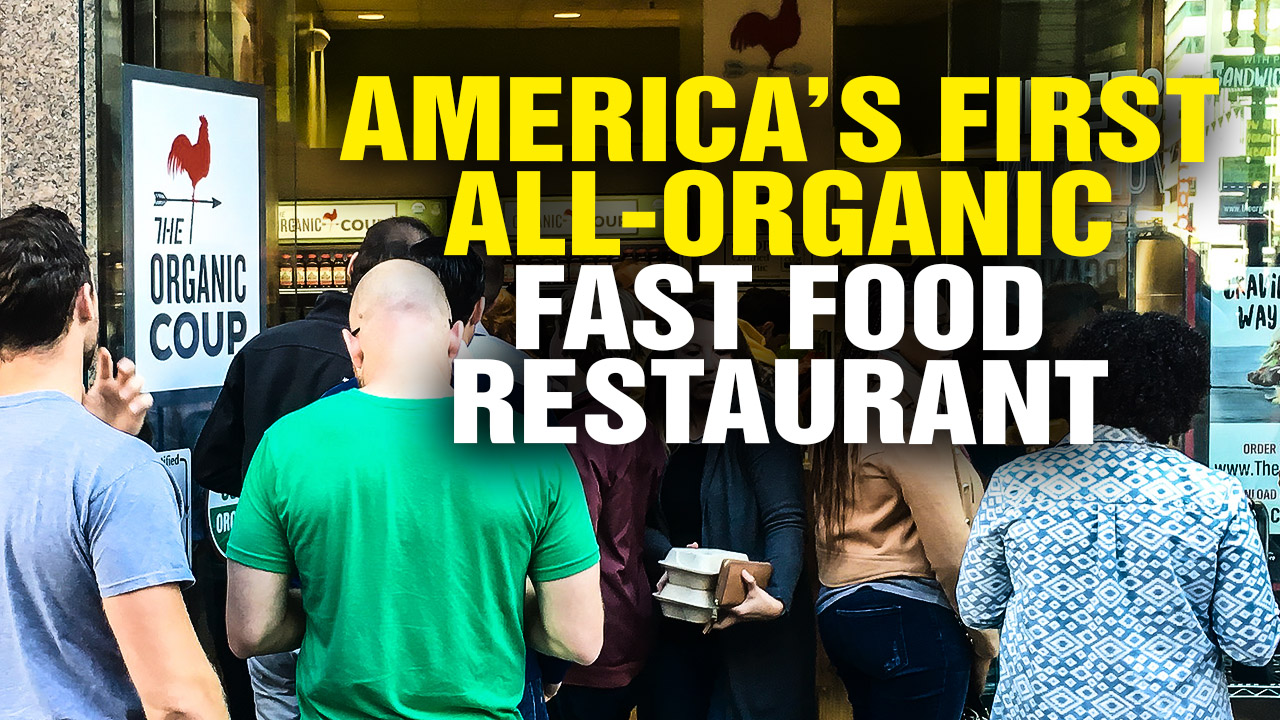 Image: America’s First All-Organic Fast Food Restaurant Avoids GMOs, Pesticides and Antibiotics (Video)