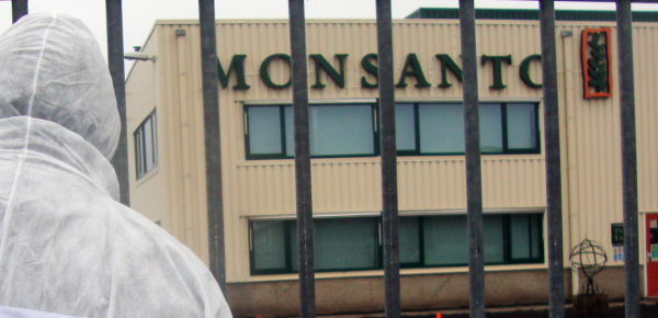 Image: Did Monsanto Employ an Army of Trolls to Silence Online Dissent? (Video)