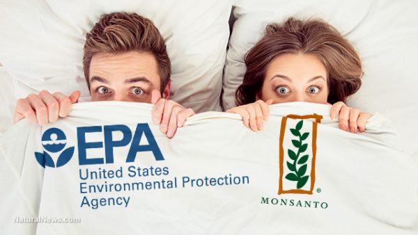 Image: The GMO Agenda Takes a Menacing Leap Forward with EPA’s Silent Approval of Monsanto/Dow’s RNAi Corn (Video)