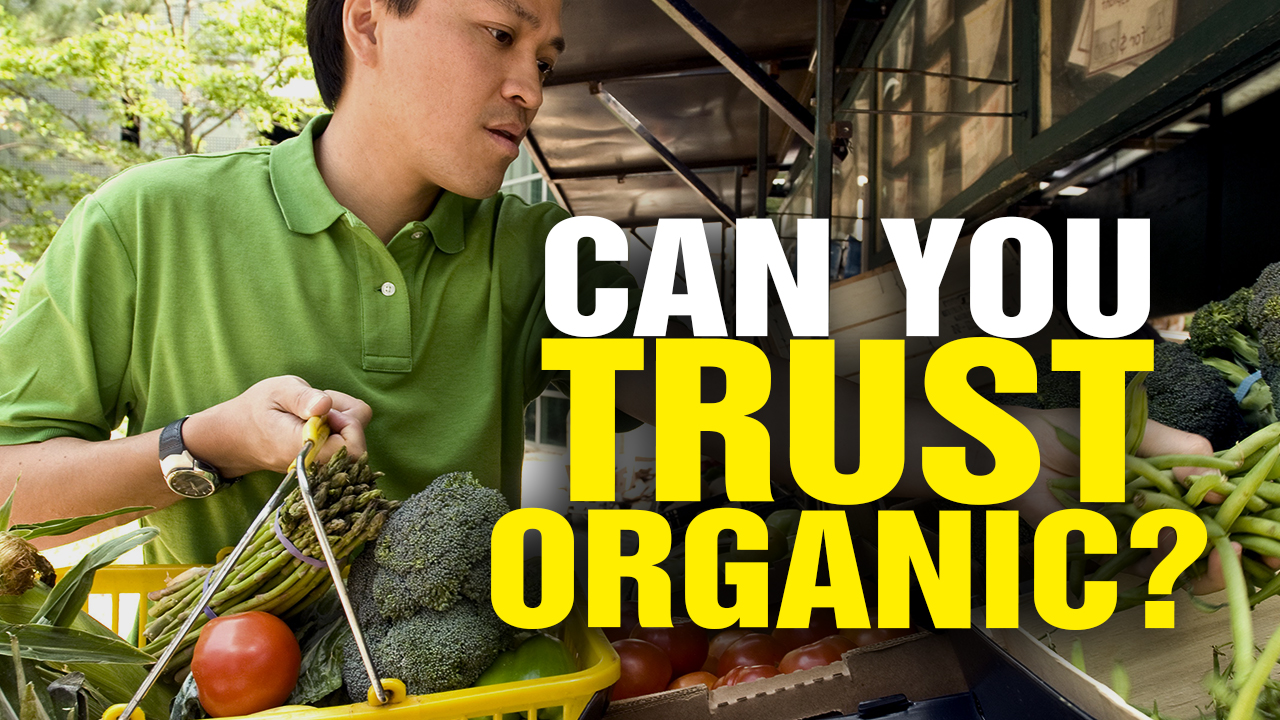 Image: Can You Trust ORGANIC? (Video)