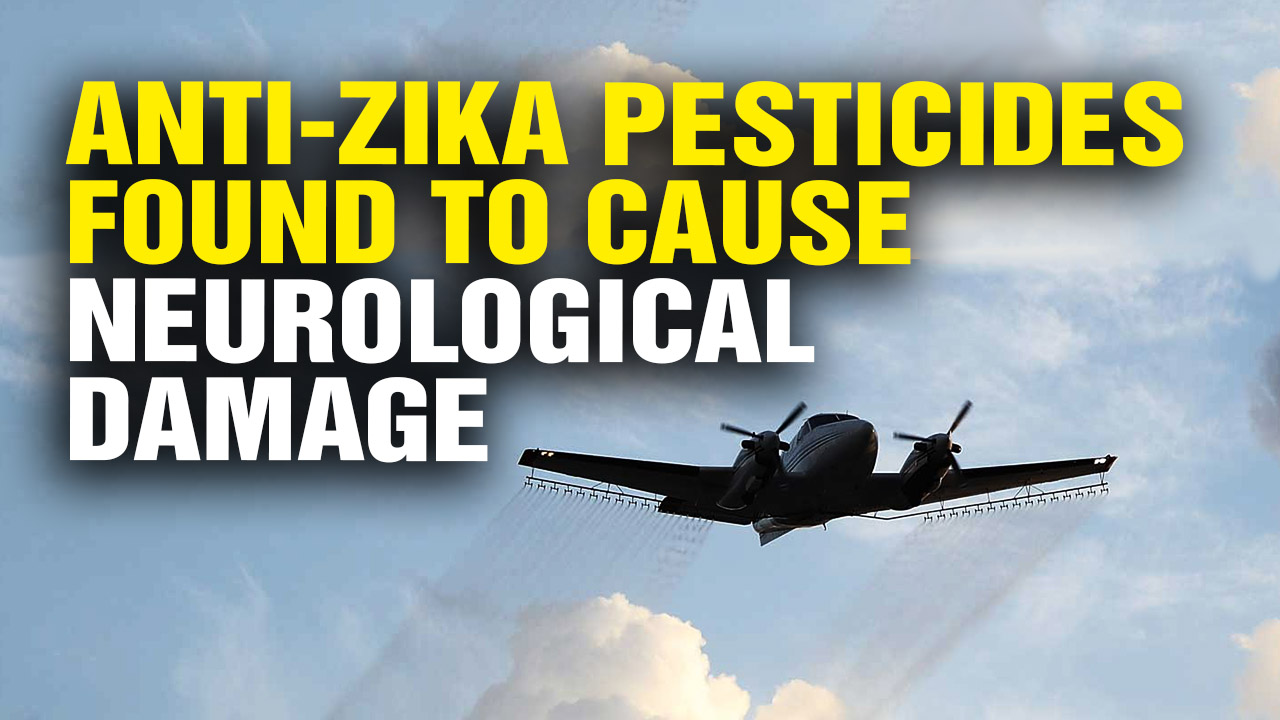 Image: BOMBSHELL: Anti-Zika Pesticides Found to Cause Neurological Damage (Video)