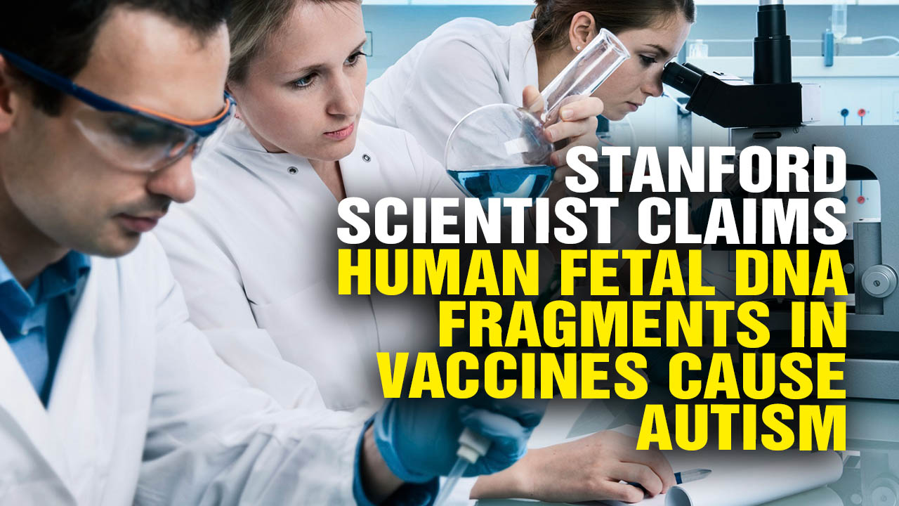 Image: Stanford Scientist Claims Human Fetal DNA Fragments in Vaccines Cause Autism (Video)