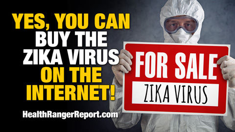 Image: Yes, you can buy the Zika virus on the internet! (Audio)