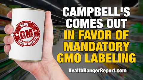 Image: Campbell’s comes out in favor of mandatory GMO labeling (Audio)