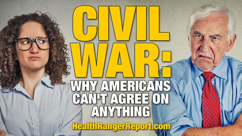 Image: Why America is headed for civil war