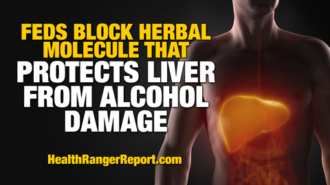 Image: Feds block herbal molecule that makes drinking alcohol less dangerous to your liver