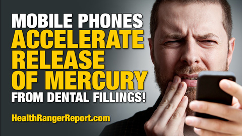 Image: Electromagnetic fields from mobile phones accelerate mercury release from dental fillings