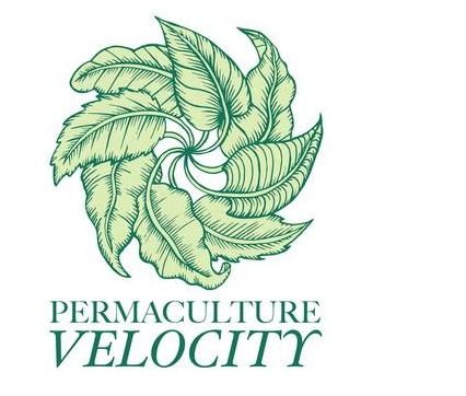 Image: Permaculture Velocity | The Best Fruit Trees for the Backyard Garden