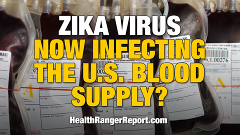 Image: Zika virus now infecting the U.S. blood supply?