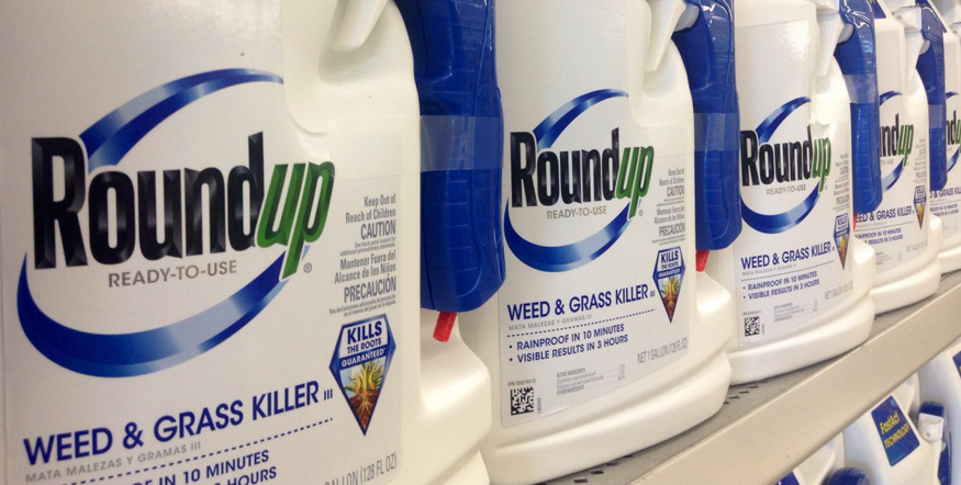 Image: Why It’s Imperative to Avoid GMOs And Roundup (Video)