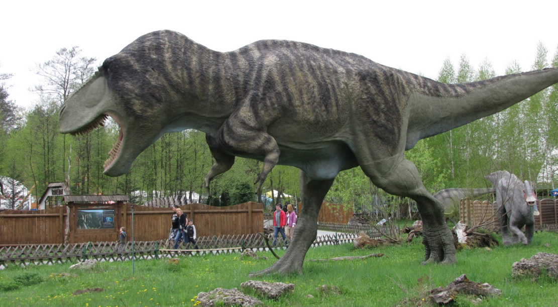 Image: Scientists Closer to Cloning T-Rex (Video)