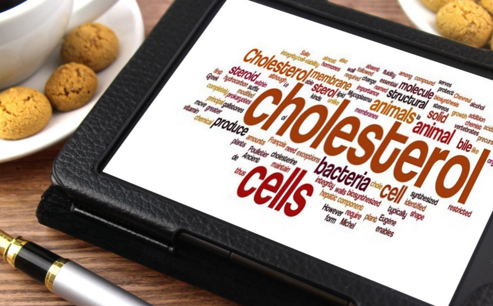 Image: The Cholesterol Myth Exposed – Science Finally Acknowledges They Were WRONG (Audio)