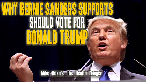 Image: Why Bernie Sanders supporters should vote for Donald Trump (Audio)