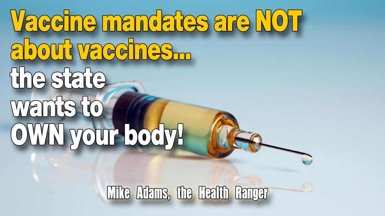 Image: Vaccine mandates are NOT about vaccines… the state wants to OWN your body! (Audio)
