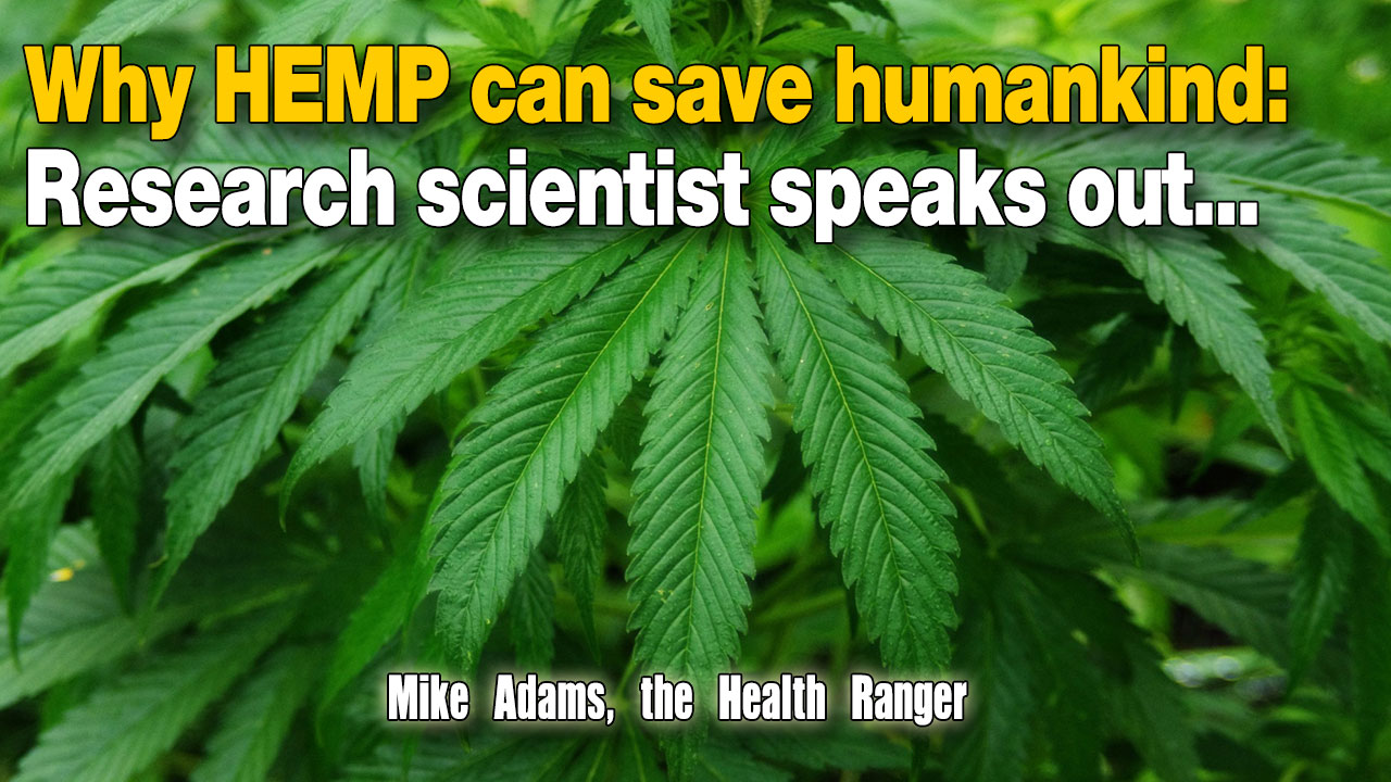 Image: Why HEMP can save humankind: Research scientist speaks out… (Audio)