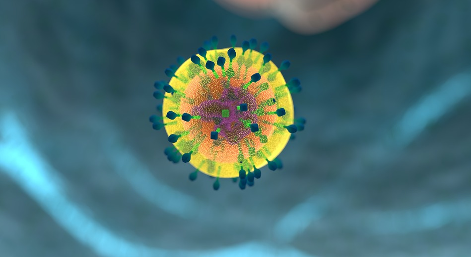 Image: Improving your immune system starts here! (Video)