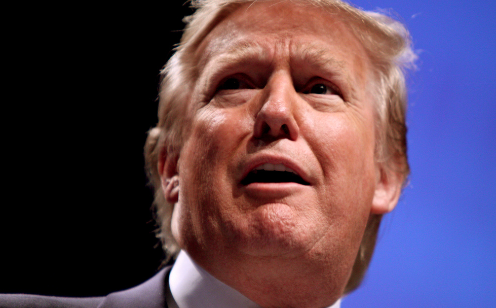 Image: Donald Trump vows to suspend immigration from any country with links to terror (Video)