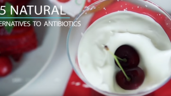 5 natural alternatives to antibiotics