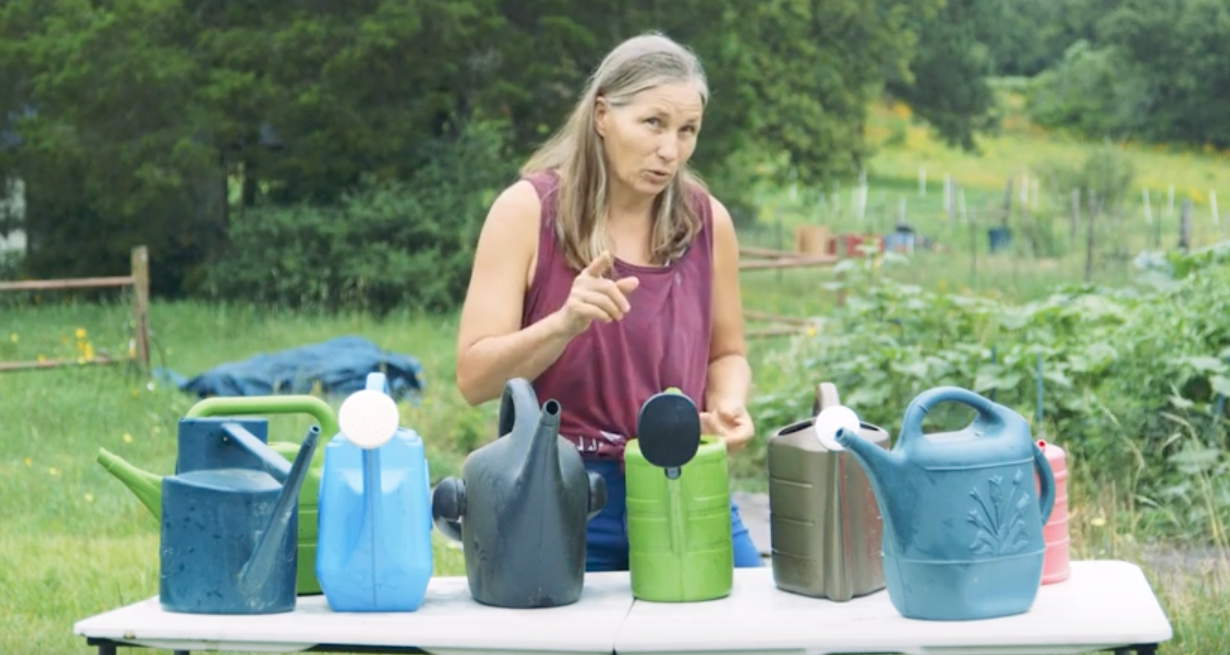 Image: Homesteading basics: Watering cans (Video)